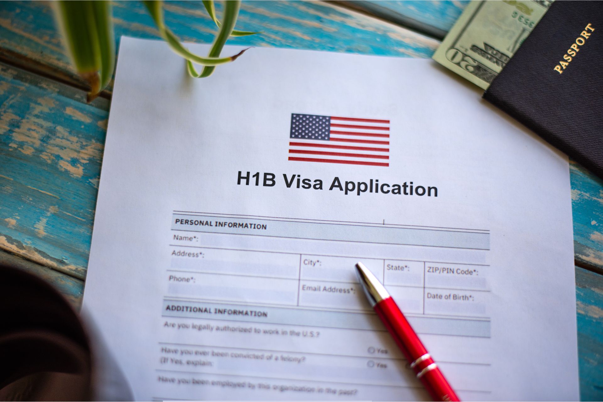 h1b visa application