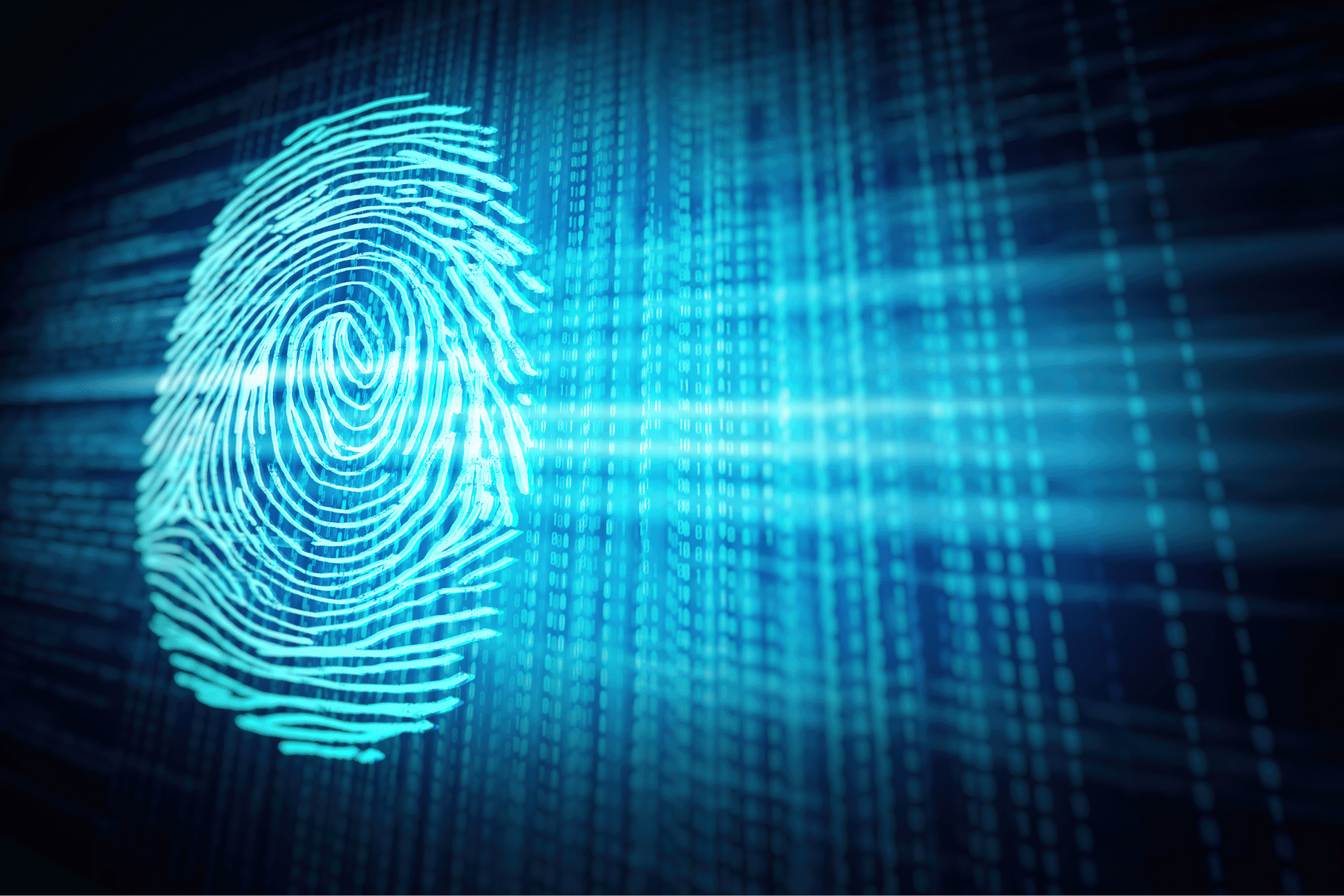 computer image of fingerprint and code